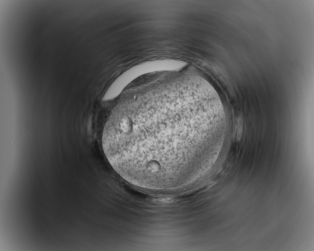 X0000091900428200709261701