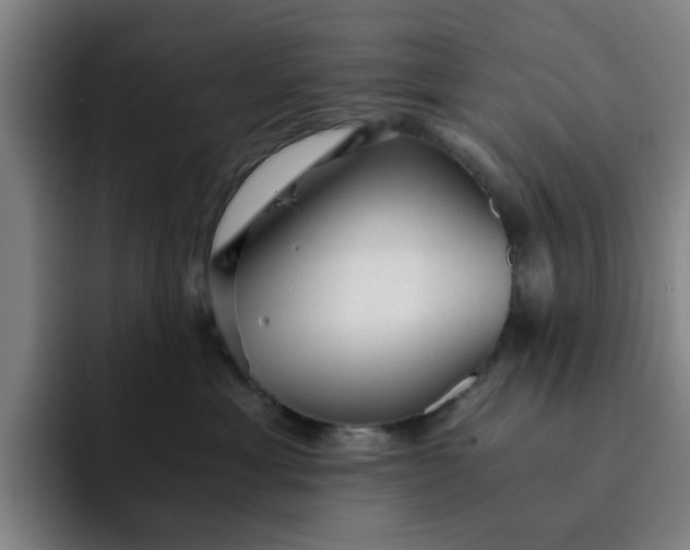 X0000091900429200709261701