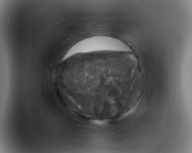 X0000091900432200709261701