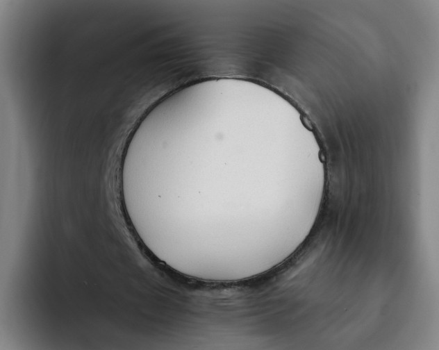 X0000091900433200709261700