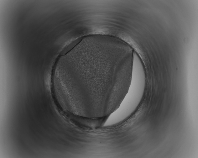 X0000091900434200709261700