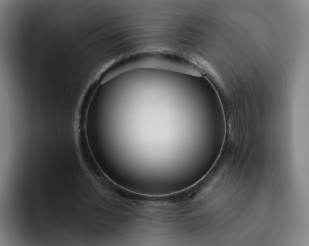 X0000091900436200709261700