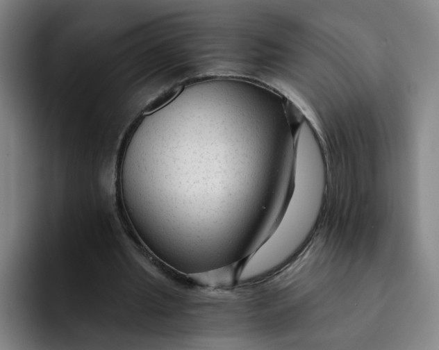 X0000091900437200709261700