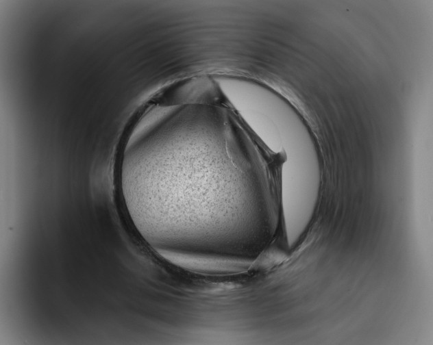 X0000091900438200709261700