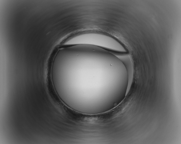 X0000091900440200709261700