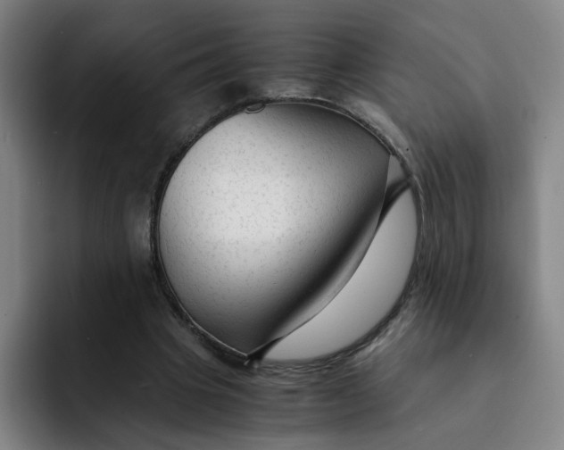 X0000091900441200709261700