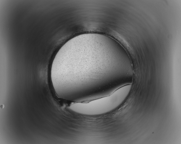 X0000091900442200709261700