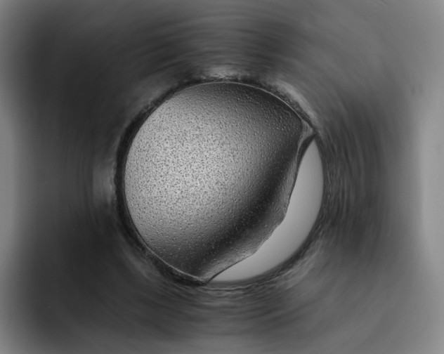 X0000091900443200709261700