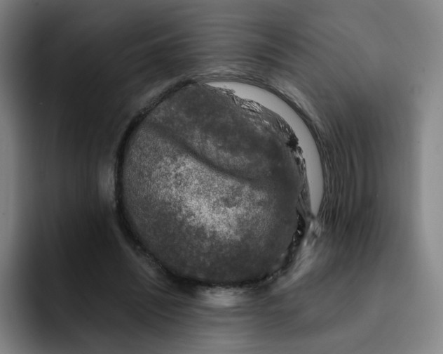 X0000091900444200709261700