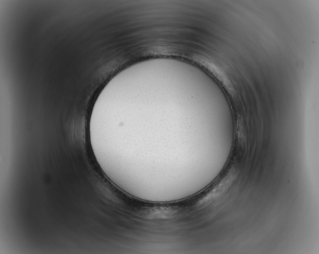 X0000091900445200709261700