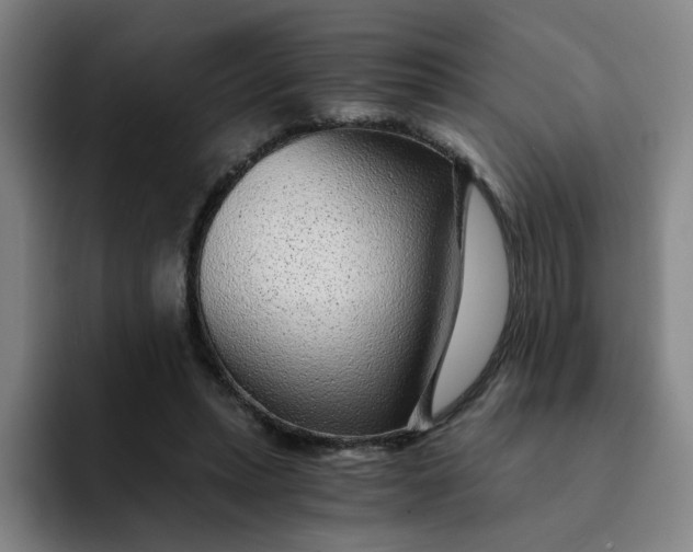 X0000091900447200709261700