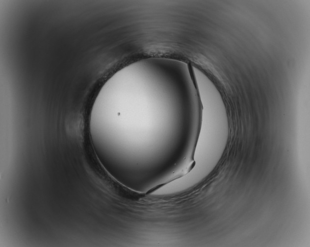 X0000091900448200709261700