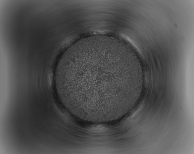 X0000091900451200709261701