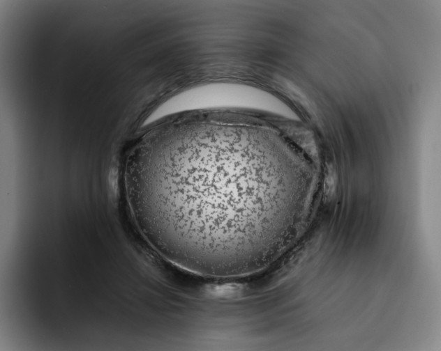 X0000091900452200709261701