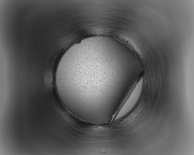 X0000091900453200709261701