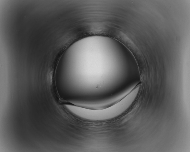 X0000091900454200709261701