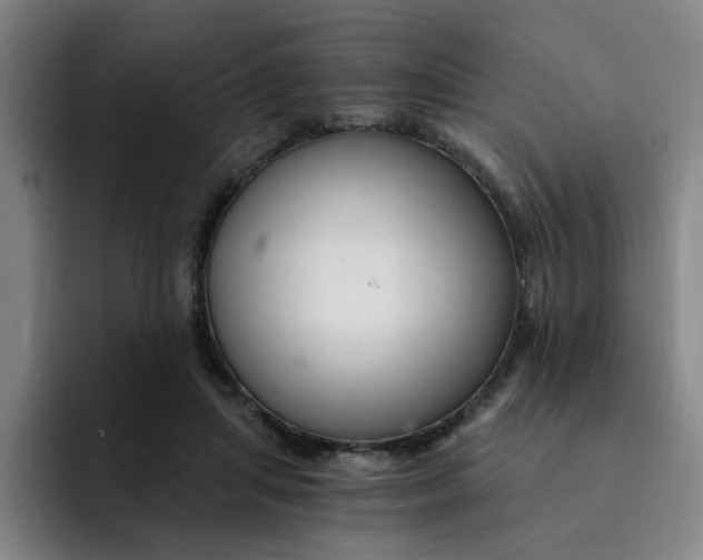 X0000091900455200709261701