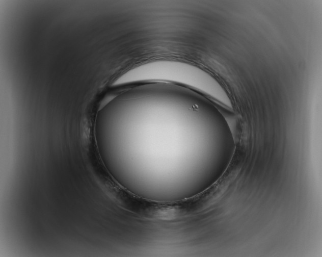 X0000091900456200709261701