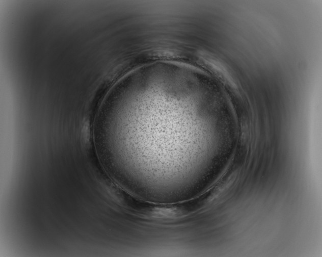 X0000091900457200709261701