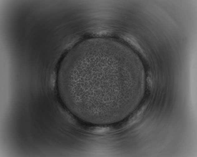 X0000091900458200709261701