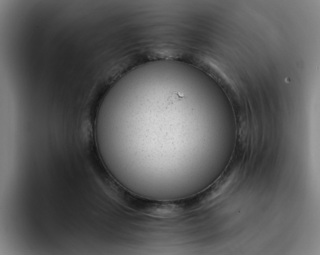 X0000091900459200709261701