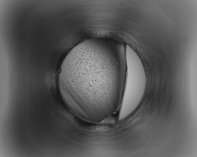 X0000091900462200709261701