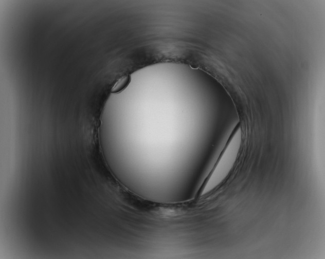 X0000091900464200709261701