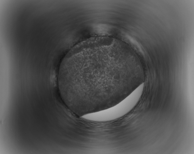 X0000091900465200709261701