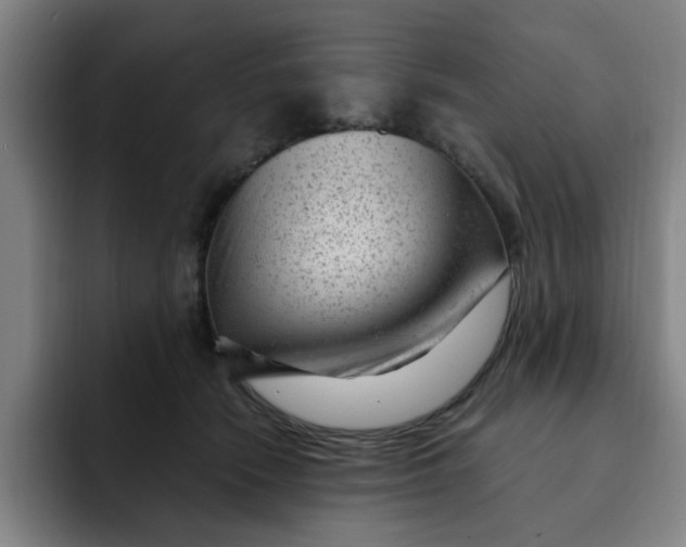 X0000091900466200709261701