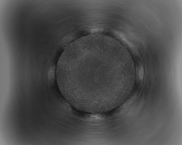 X0000091900475200709261701