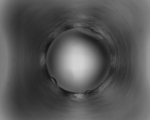 X0000091900478200709261701