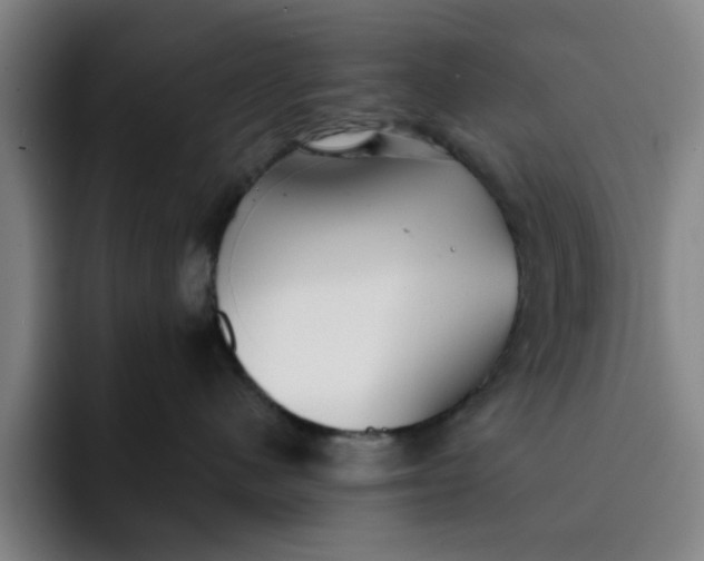 X0000091900480200709261701