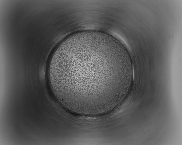 X0000091900483200709261700