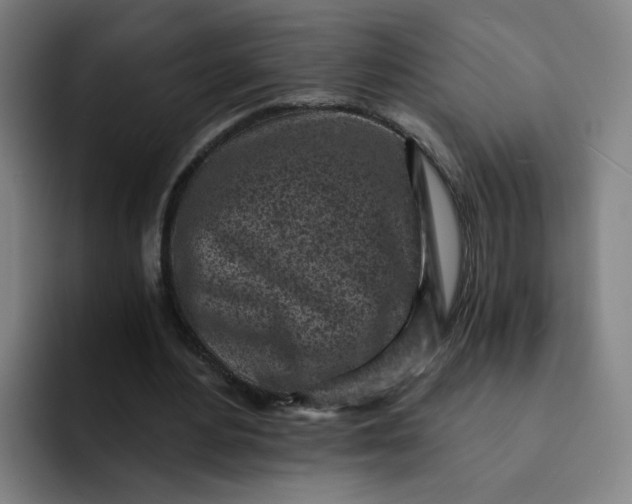 X0000091900484200709261700