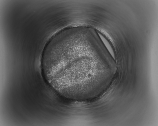 X0000091900487200709261700