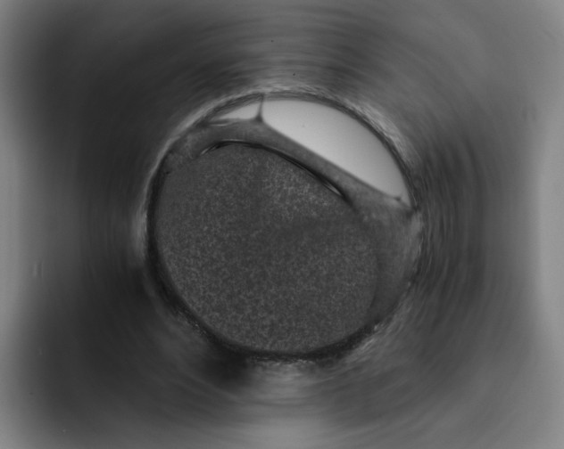 X0000091900488200709261700