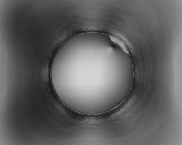 X0000091900489200709261700