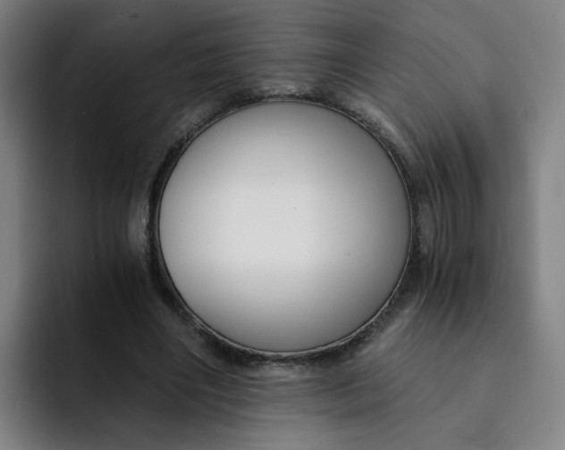 X0000091900490200709261700