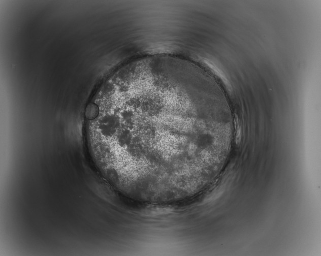 X0000091900491200709261700