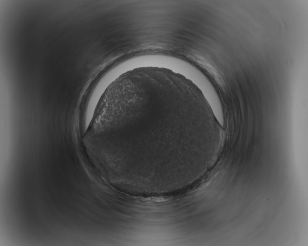 X0000091900492200709261700