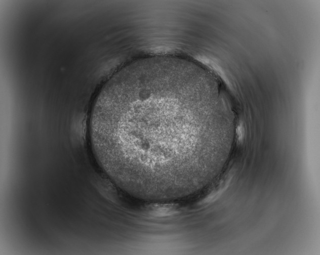 X0000091900495200709261700