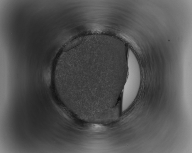 X0000091900496200709261700