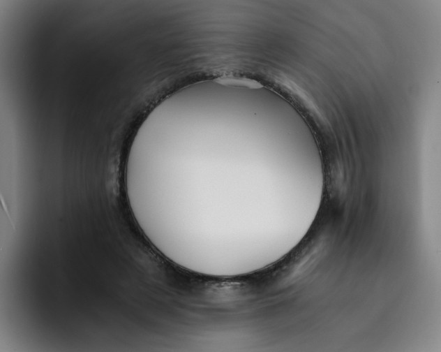 X0000091900497200709261700