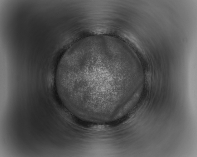 X0000091900499200709261700