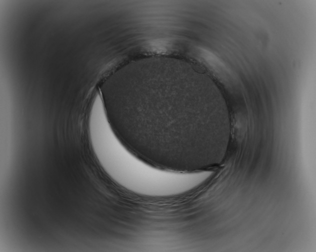 X0000091900500200709261700