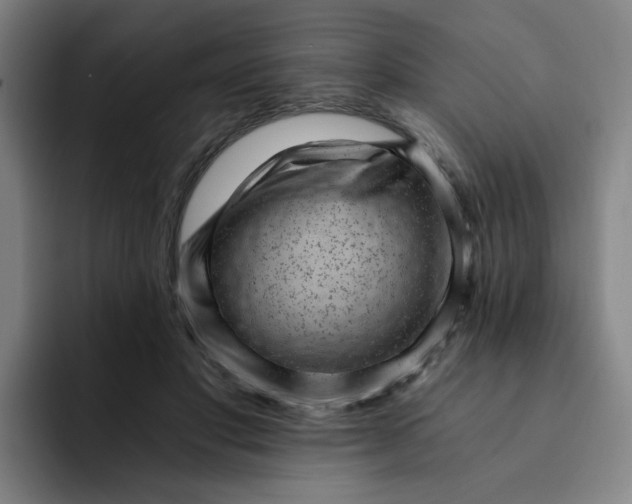 X0000091900501200709261700