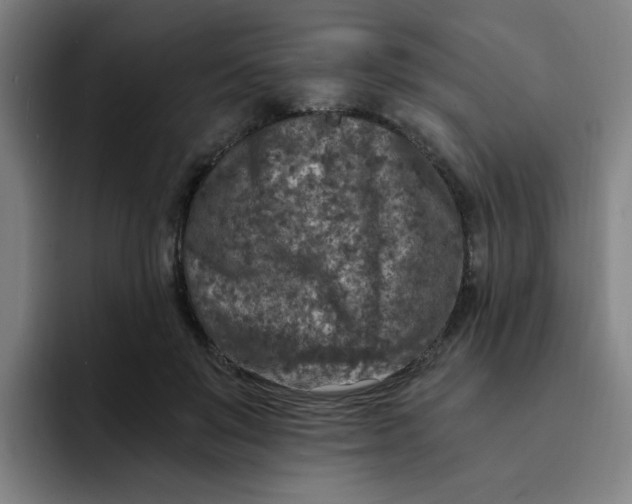 X0000091900503200709261700