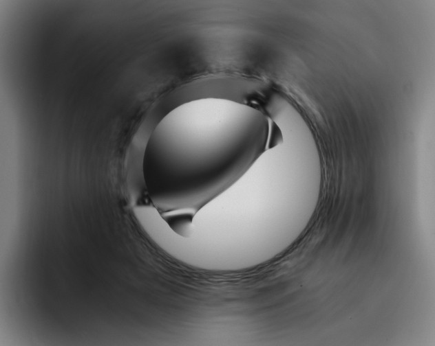 X0000091900505200709261700