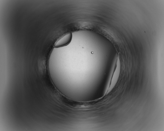 X0000091900506200709261700