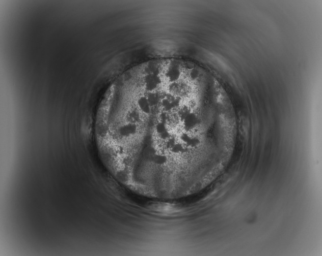 X0000091900507200709261700